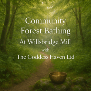 Community Forest Bathing at Willsbridge Mill