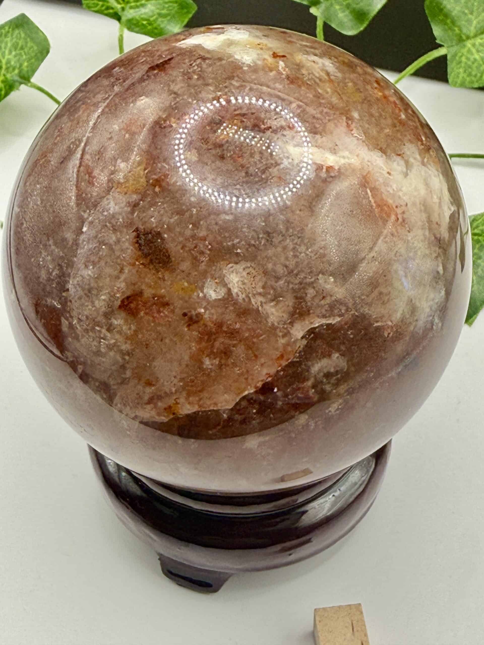 Luminous Himalayan salt crystal sphere on a wooden stand, used for healing and meditation, surrounded by green leafy plants for a relaxing, natural ambiance.