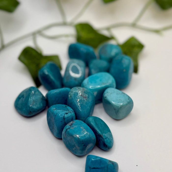 Howlite - Tumble Stones Blue Dyed