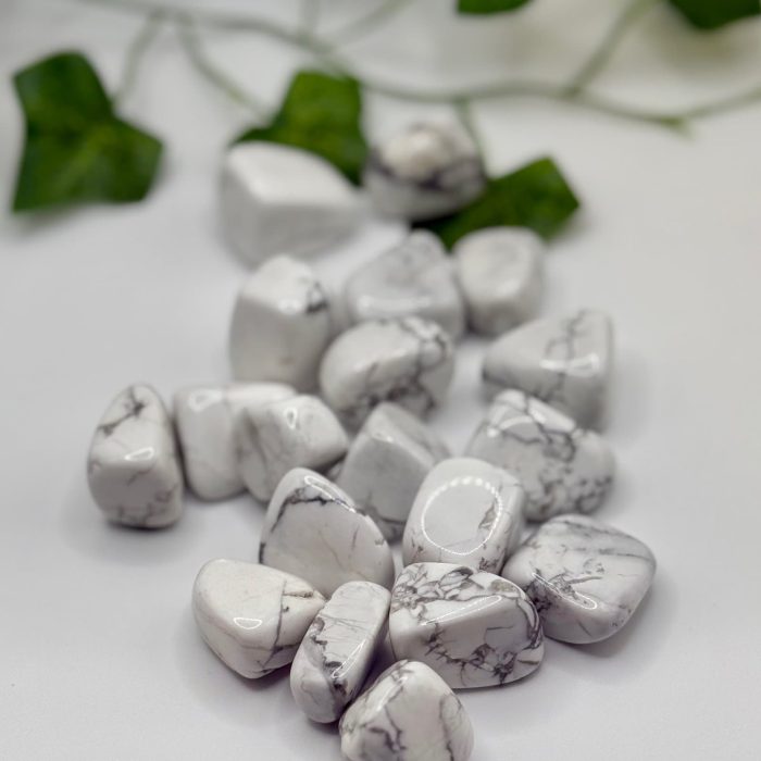 Howlite - Tumble Stones