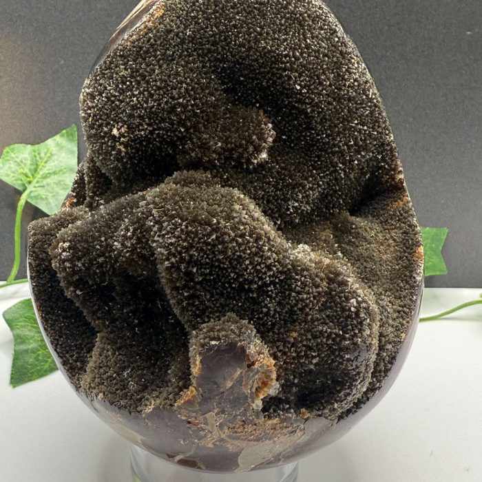 Rich black volcanic eruption crystal healing geode with sparkling textured surface, ideal for meditation and energy cleansing, displayed on a clear stand with green ivy accents.