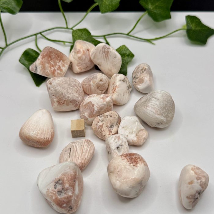 Pink Himalayan salt stones with green ivy leaves for holistic healing, spiritual wellness, and aromatherapy at The Goddess Haven. Perfect for energy cleansing and relaxation.