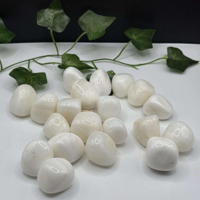 Polished white healing stones with green ivy on a white and black background, suitable for crystal healing and energy balancing.