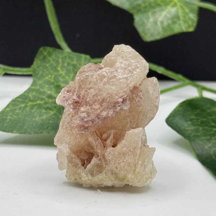 Natural rose quartz crystal healing stone with soft pink hue, placed on a white surface with green leaves in the background, ideal for promoting love and emotional healing.