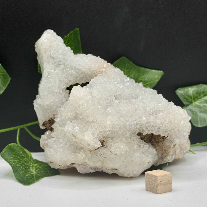 Natural healing crystal quartz point with clear, sparkling facets, surrounded by green ivy leaves on a dark background, ideal for energy healing and meditation.