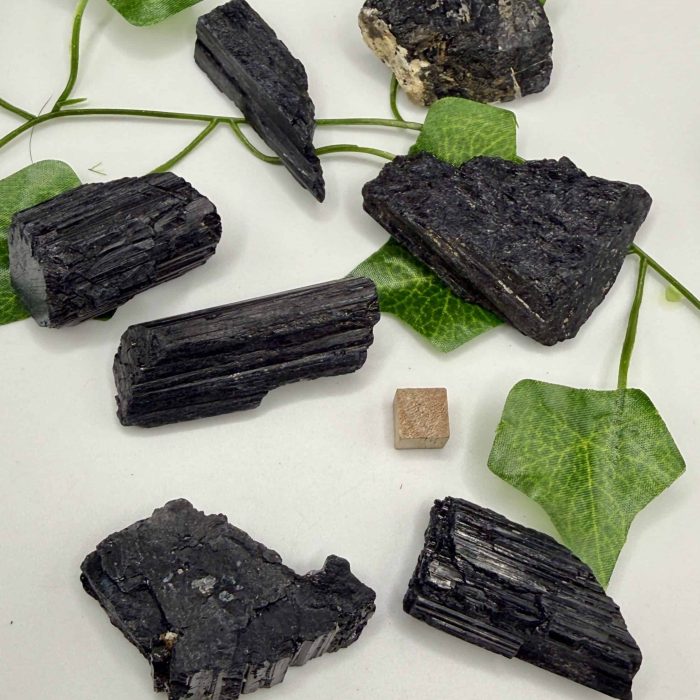 Collection of black tourmaline crystals with green ivy leaves, showcasing their natural texture and protective properties.